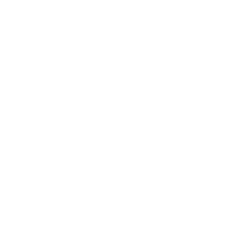 Une part de pizza